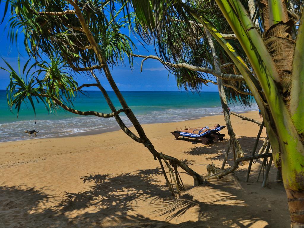 Thejan Beach Cabanas Bentota Exteriér fotografie