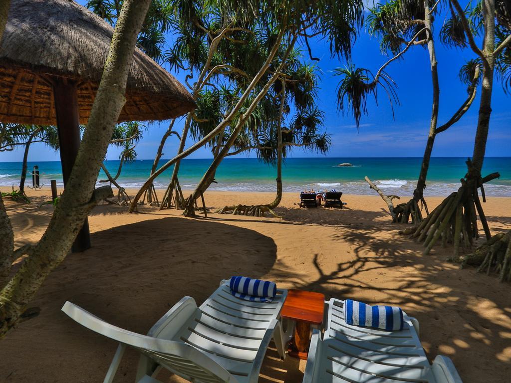 Thejan Beach Cabanas Bentota Exteriér fotografie