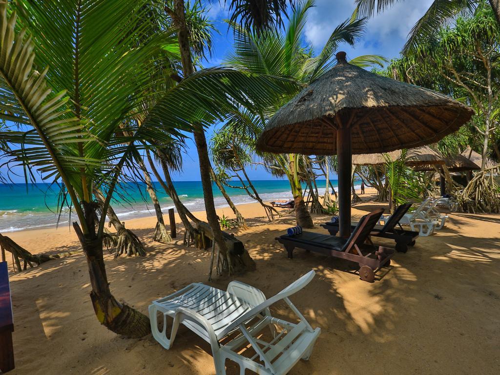 Thejan Beach Cabanas Bentota Exteriér fotografie