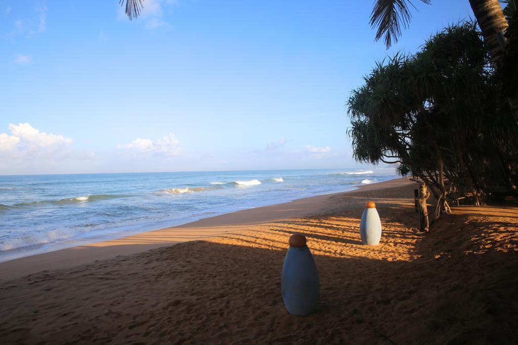 Thejan Beach Cabanas Bentota Exteriér fotografie